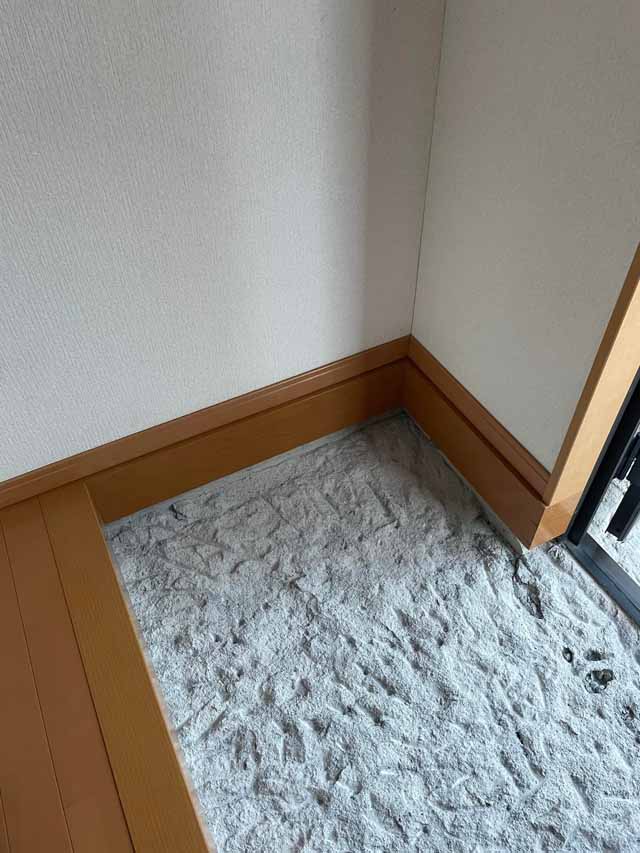 玄関タイル張替え工事|栃木県塩谷郡高根沢町H様邸(2021.11.01)