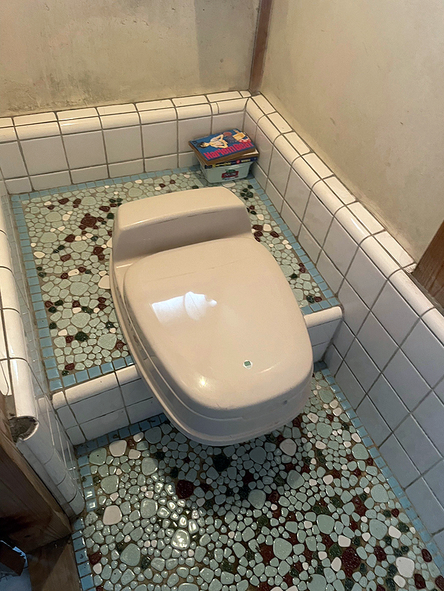 汲み取り式トイレから水洗式トイレにリフォーム工事|佐野市M様邸(2024.04.23)